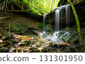 Landscape image with small creek, Eifel, Germany Landscape image with small creek, Eifel, Germany 131301950