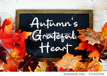 Autumn's Grateful Heart text written on chalkboard with maple leaf decoration on wooden background Autumn's Grateful Heart text written on chalkboard with maple leaf decoration on wooden background 131302264