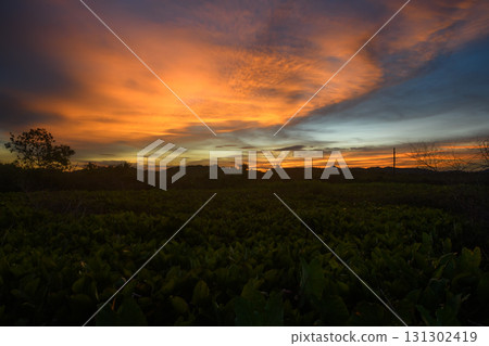 Beautiful sunset sky over land with glowing clouds. 131302419