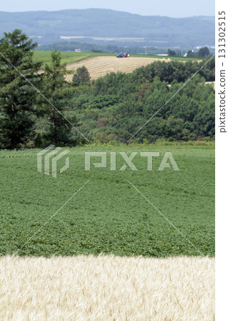 Okhotsk Area Hilly Region Okhotsk Hilly Region Rural Scenery Okhotsk Area Hilly Region Okhotsk Hilly Region Rural Scenery 131302515