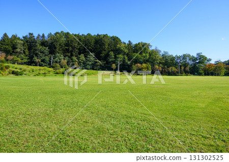 克勞福德公園的初秋 131302525