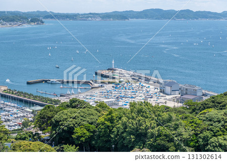 Sailboats sailing near marina and lighthouse on sunny day by forested coast at Enoshima, Kamakura, Kanagawa, Japan 131302614