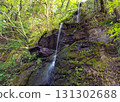 The waterfall seen from the Manyo Cave in Yugawara Manyo Park 131302688