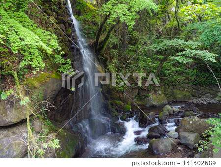 湯河原萬葉公園河道旁的瀑布 131302689