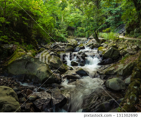 湯河原萬葉公園河道旁的溪流 131302690