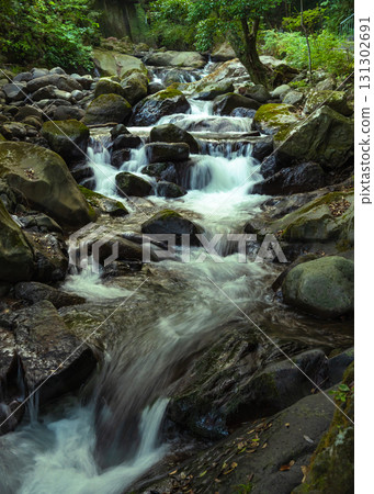湯河原萬葉公園路邊的溪流 131302691