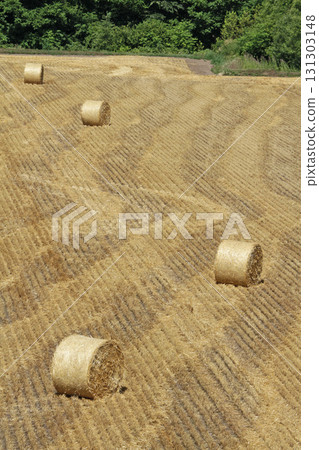 Straw silage, straw roll, straw silage 131303148