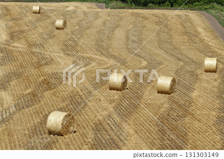 秸稈青貯飼料，秸稈卷，秸稈青貯飼料 131303149