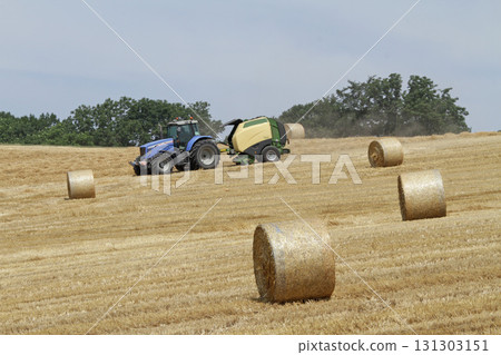 秸稈青貯飼料，秸稈卷，秸稈青貯飼料 131303151