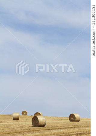 秸稈青貯飼料，秸稈卷，秸稈青貯飼料 131303152