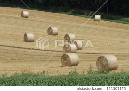 Straw silage, straw roll, straw silage Straw silage, straw roll, straw silage 131303153