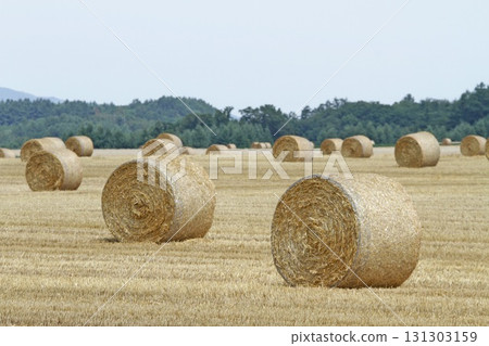 Straw silage, straw roll, straw silage Straw silage, straw roll, straw silage 131303159
