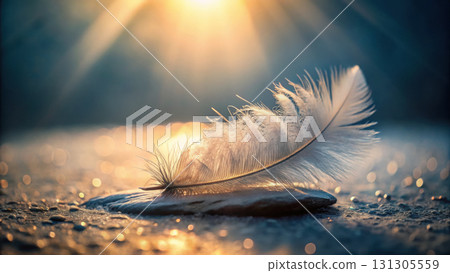 delicate feather resting on textured surface, illuminated by sunlight 131305559