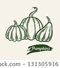 Image of pumpkins in engraving style 131305916