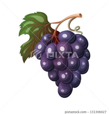 Grapes purple fruit bunch with green leaf in vector cartoon style. Juicy autumn harvest berries in playful design. Great for Thanksgiving card or fall print. Perfect for seasonal holiday artwork. 131306027