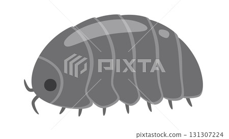 Cute pill bug illustration 131307224