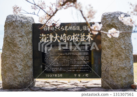 A stone monument of the cherry blossom trees at Kaizu Osaki, one of Japan's top 100 cherry blossom viewing spots 131307561