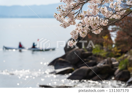 Cherry blossoms in full bloom and kayaking on the rocks of Lake Biwa Cherry blossoms in full bloom and kayaking on the rocks of Lake Biwa 131307570
