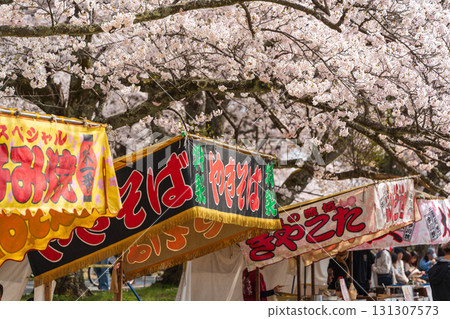 Japanese food stalls lined up under cherry blossoms in full bloom 131307573