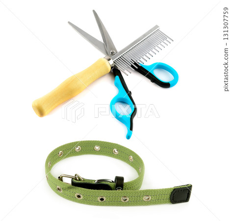 Pet grooming tools and a collar on a white background 131307759