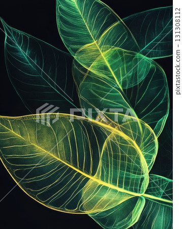 Transparent_layered_tropical_leaves Transparent_layered_tropical_leaves 131308112