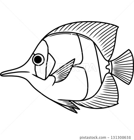 Fish Fish 131308638