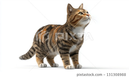 A majestic tricolor cat with a fluffy tail 131308988