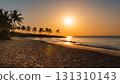 Illustration of a South Pacific island beach at sunset 131310143