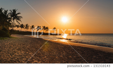 Illustration of a South Pacific island beach at sunset 131310143