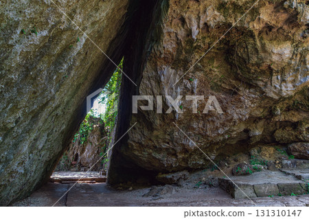 Okinawa Saiba Gyoen Sankori 131310147