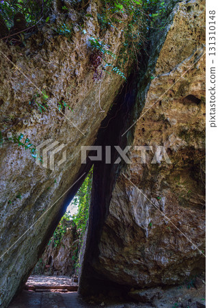 Okinawa Saiba Gyoen Sankori 131310148