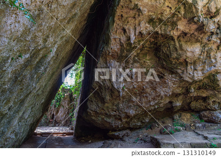 Okinawa Saiba Gyoen Sankori 131310149