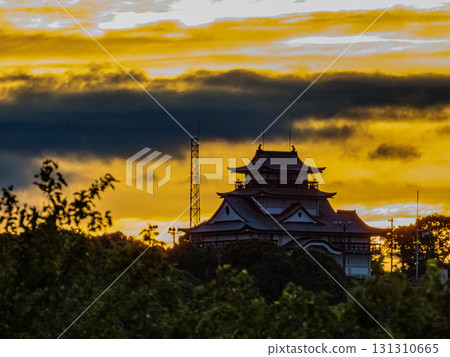 View of Komakiyama Castle before sunrise View of Komakiyama Castle before sunrise 131310665