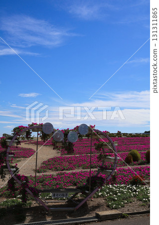 花卉廣場、松針紐扣和心形物品 131311865