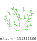 Fresh microgreen leaves. Flat vector illustration. Sprouts arugula, radish, fenugreek, sunflower isolated on white background. Sprouting seeds of a plant. Vitamin supplement, vegan food. 131311866