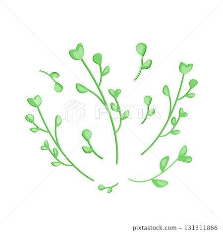 Fresh microgreen leaves. Flat vector illustration. Sprouts arugula, radish, fenugreek, sunflower isolated on white background. Sprouting seeds of a plant. Vitamin supplement, vegan food. 131311866