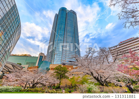 Cherry blossoms at Roppongi Hills in Minato Ward, Tokyo 131311881