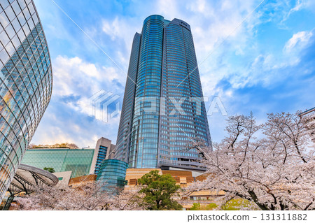 Cherry blossoms at Roppongi Hills in Minato Ward, Tokyo Cherry blossoms at Roppongi Hills in Minato Ward, Tokyo 131311882