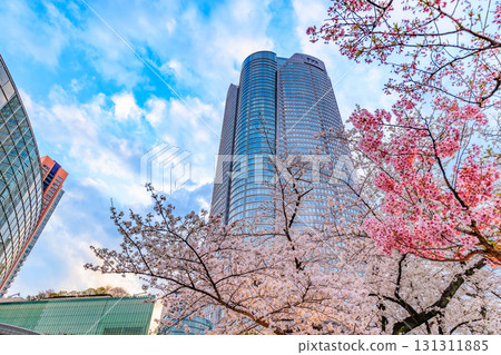 Cherry blossoms at Roppongi Hills in Minato Ward, Tokyo Cherry blossoms at Roppongi Hills in Minato Ward, Tokyo 131311885