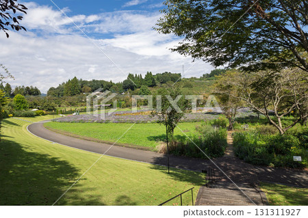 Nakanojo Gardens Rose Garden Area 131311927