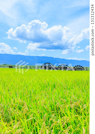 Hishino's triple waterwheel in early autumn, Asakura City, Fukuoka Prefecture 131312434