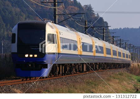 JR東日本255系列車：特急潮騷號 131312722