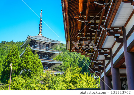 福井縣青島寺五重塔風景 131313762