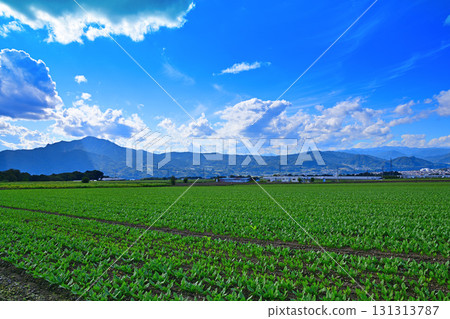 View from the vegetable fields of Akagi Plateau, Showa Village View from the vegetable fields of Akagi Plateau, Showa Village 131313787