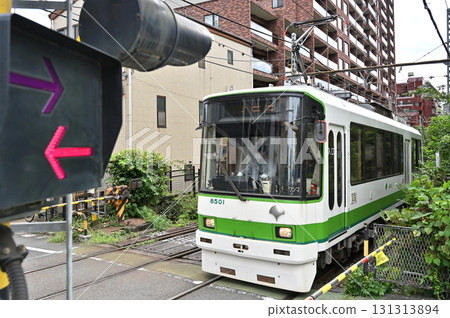 都電荒川線（東京櫻花電車）8500系列（8501） 131313894