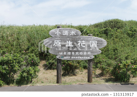 幻想園站 JR 幻想園站 B75 Semmo 本線 小清水幻想園 幻想園站 JR 幻想園站 B75 Semmo 本線 小清水幻想園 131313917