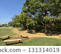 公園的長椅上 131314019