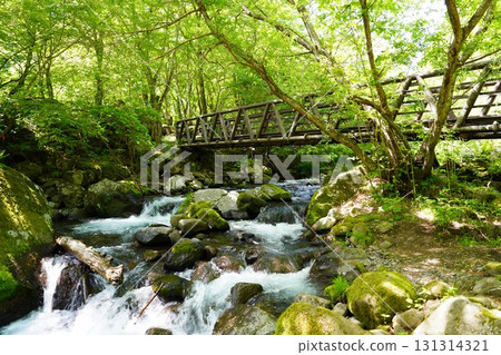 Yamanashi Prefecture Soryu Waterfall Yamanashi Prefecture Soryu Waterfall 131314321
