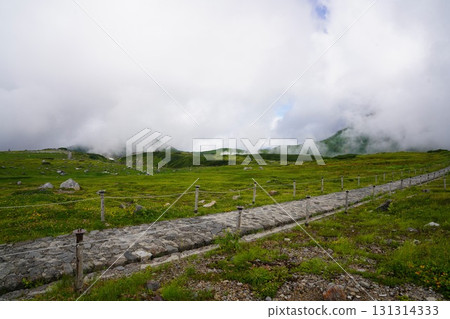 Toyama Prefecture, Tateyama Kurobe Alpine Route, Murodo Toyama Prefecture, Tateyama Kurobe Alpine Route, Murodo 131314333