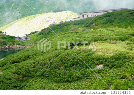 Toyama Prefecture, Tateyama Kurobe Alpine Route, Murodo 131314335